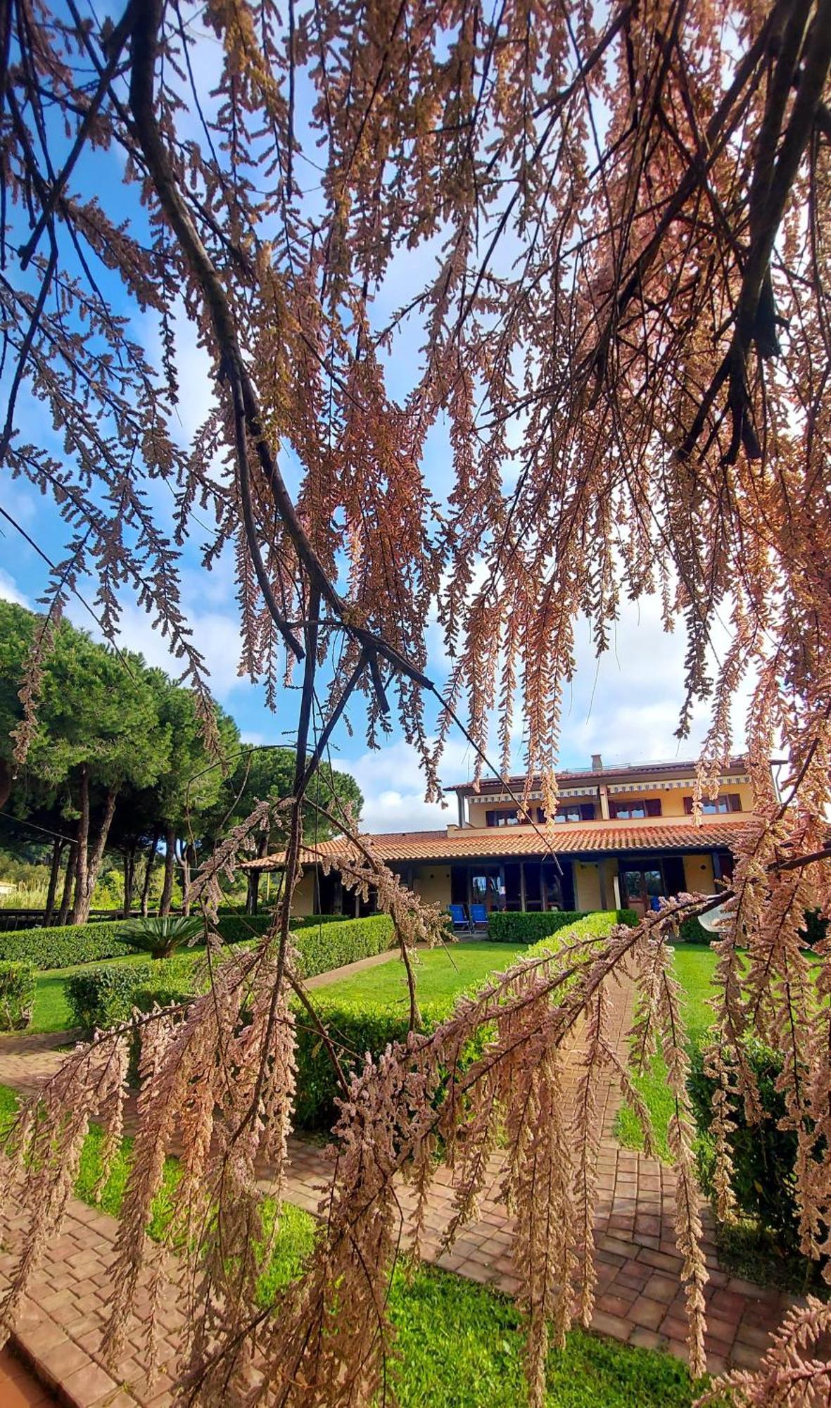 Lido Azzurro Residence Rta Capoliveri  Buitenkant foto